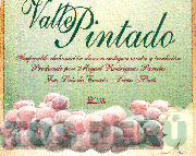 VALLE PINTADO MIGUEL RODRIGUEZ PAREDES