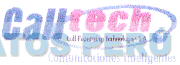CALLTECH CALL PROCESING TECHNOLOGIES S.A. COMUNICACIONES INTELIGENTES