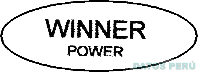 WINNER POWER