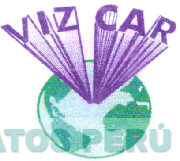 VIZ CAR