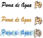 PUMA DE AGUA