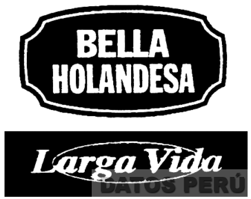 BELLA HOLANDESA LARGA VIDA