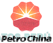 PETRO CHINA