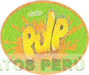 NECTAR PULP