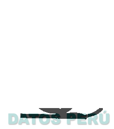 CKF INDUSTRIAL S.A.