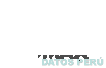 PRO YOMAX