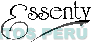 ESSENTY
