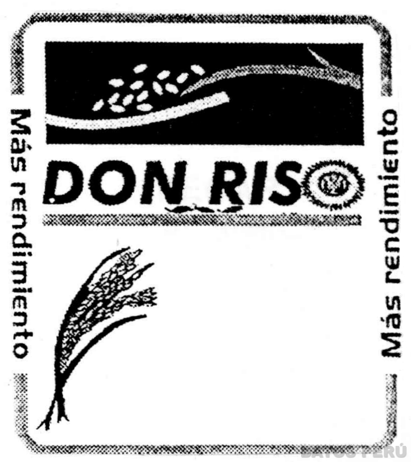 DON RISO