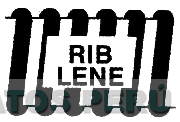 RIB LENE