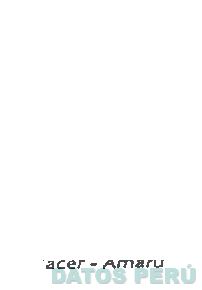 INDUSTRIAS DEL ENVASE S.A.