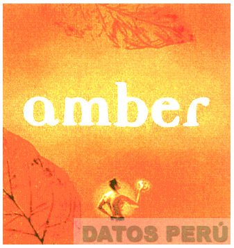 AMBER