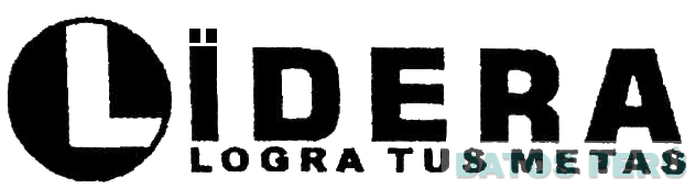 LIDERA LOGRA TUS METAS