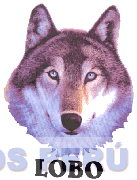 LOBO