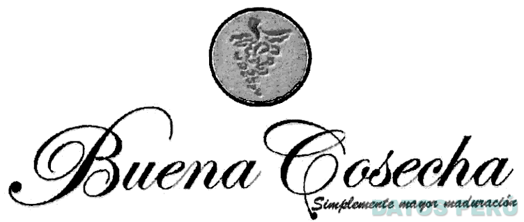BUENA COSECHA SIMPLEMENTE MAYOR MADURACION