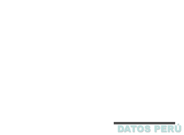 INTERNATIONAL SPRING SHOES