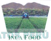 INCA FOOD