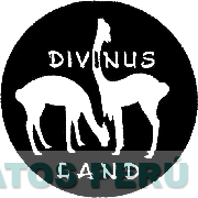 DIVINUS LAND