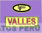 VV VALLES SPORT