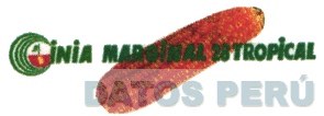 INIA MARGINAL 28 TROPICAL