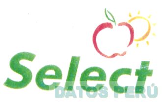 SELECT