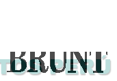 B BRUNT