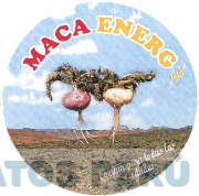MACA ENERG ENERGIA PARA TODAS LAS EDADES