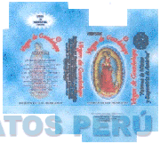 VIRGEN DE GUADALUPE PATRONA DE LOS MEXICANOS
