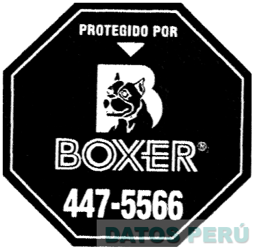 B BOXER