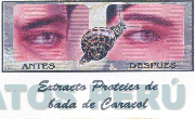 EXTRACTO PROTEICO DE BABA DE CARACOL