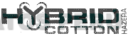 HYBRID COTTON HAZERA