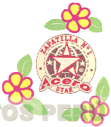 ACERO STAR ZAPATILLA N° 1