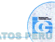 ICG INTERNATIONAL CONSULTING GROUP