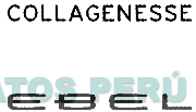 COLLAGENESSE EBEL