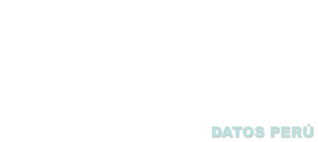 BORCOSA BORDADOS COMPUTARIZADOS S.A.