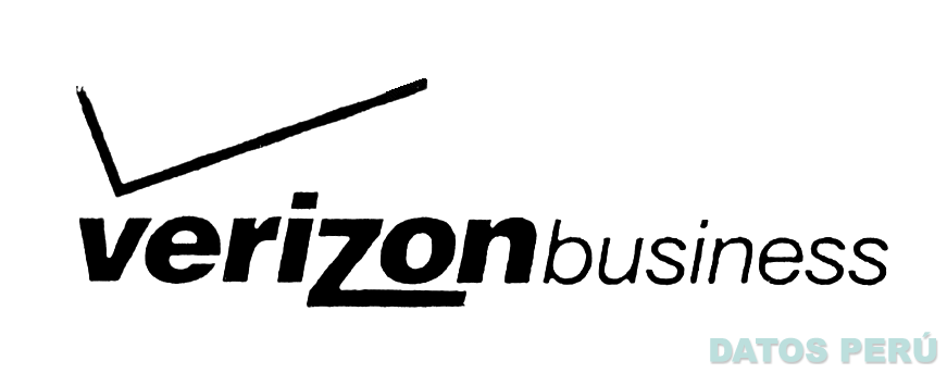 VERIZON BUSINESS