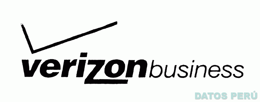 VERIZON BUSINESS