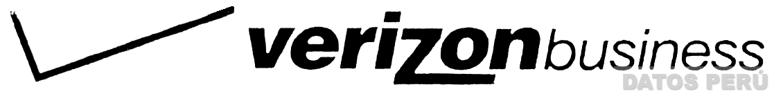VERIZON BUSINESS