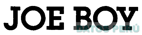 JOE BOY