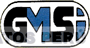 GMSI