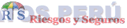 RS RIESGOS Y SEGUROS