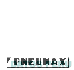 PNEUMAX