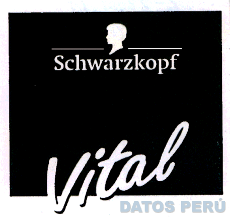 SCHWARZKOPF VITAL