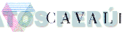 CAVALI
