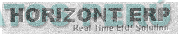 HORIZONT ERP REAL TIME ERP SOLUTION