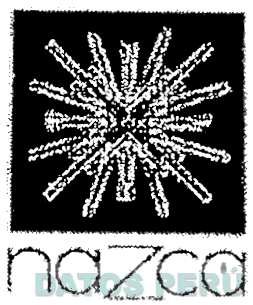 NAZCA