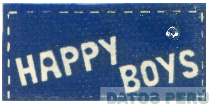 HAPPY BOYS