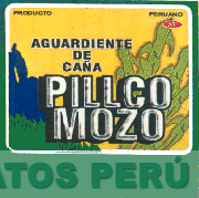 PILLCO MOZO
