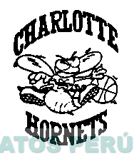CHARLOTTE HORNETS