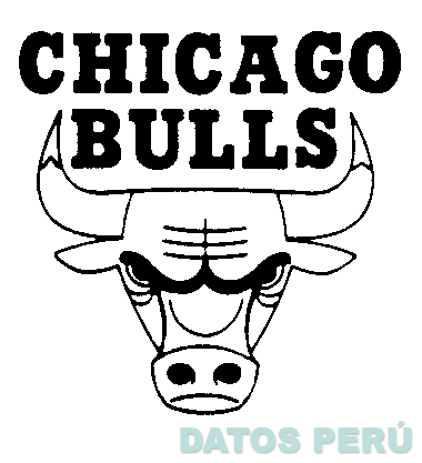 CHICAGO BULLS