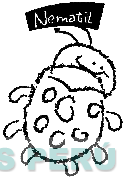 NEMATIL